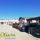Camping-los-olivos-alcala-de-xivert